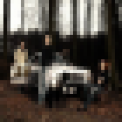 track4.de - Homestead