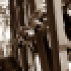 track4.de - 