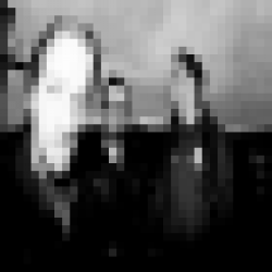 track4.de - VEIN