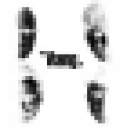 track4.de - the Vang