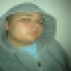 track4.de - Pddy