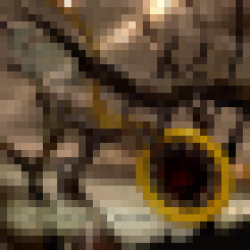 track4.de - Latebird