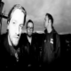 track4.de - VEIN
