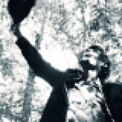 track4.de - Phlegma