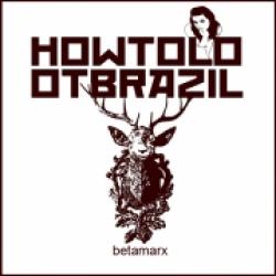 Cover der CD "Metamarx"; der Band "How to loot brazil"