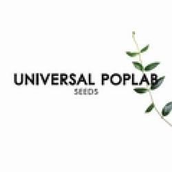 Cover der CD "Seeds"; der Band "Universal Poplab"
