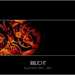 Cover der CD "Collection 1997-2011" der Band "Irrlicht" Cover der CD "Collection 1997-2011" der Band "Irrlicht"