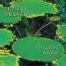 Cover der CD "Amazon River" der Band "Hendrik Meurkens" Cover der CD "Amazon River" der Band "Hendrik Meurkens"