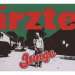 Cover der CD "Junge (Maxi-CD)" der Band "Die �rzte"