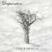 Cover der CD "A Requiem in Winter's Hue" der Band "Despairation" Cover der CD "A Requiem in Winter's Hue" der Band "Despairation"