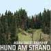 Cover der CD "Adieu Sweet Bahnhof" der Band "Hund am Strand" Cover der CD "Adieu Sweet Bahnhof" der Band "Hund am Strand"