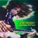 Cover der CD " Have Guitar Will Travel" der Band "Joe Perry" Cover der CD " Have Guitar Will Travel" der Band "Joe Perry"