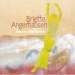 Cover der CD "Beyond the Border" der Band "Brigitte Angerhausen" Cover der CD "Beyond the Border" der Band "Brigitte Angerhausen"