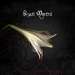 Cover der CD "Let The Funeral Begin" der Band "Beati Mortui" Cover der CD "Let The Funeral Begin" der Band "Beati Mortui"