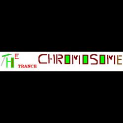 THE TRANCE CHROMOSOME