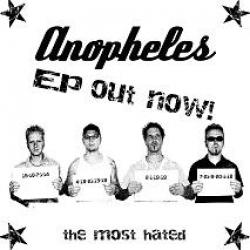 Anopheles