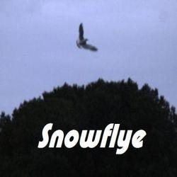 Snowflye