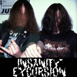 Insanity Excursion