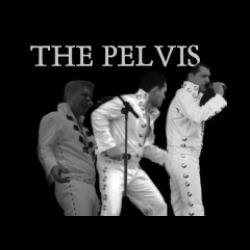 THE PELVIS