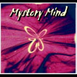 Mystery Mind