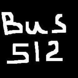 BUS 512