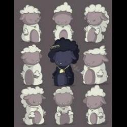 Blacksheep