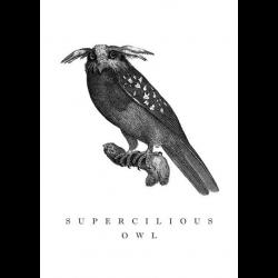 Supercilious