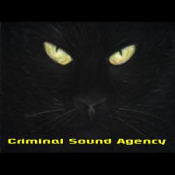 Criminal Sound Agency