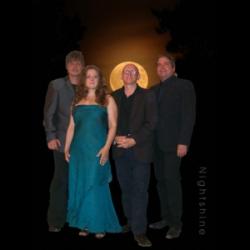 nightshine - Profi-Band