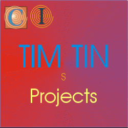 Tim Tin