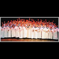 The Celebration Gospel Choir