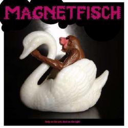 magnetfisch