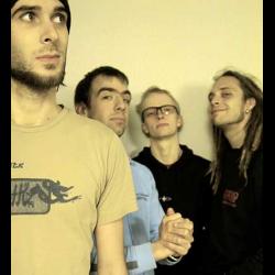 Gallmucke