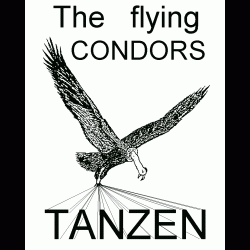 The flying Condors