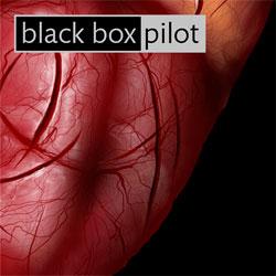 black box pilot