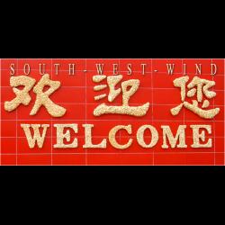 SOUTH-WEST-WIND - SOUTH-WEST-WIND 06-16