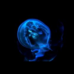 Vince - Another World