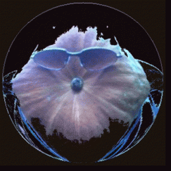 badmusic- duo snowflye www.badmusc.de -  badmusic-duo snowflye