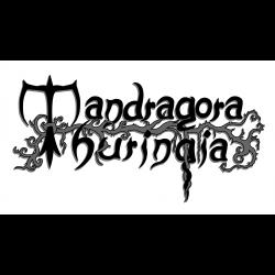 Mandragora Thuringia - Mandragora erwacht